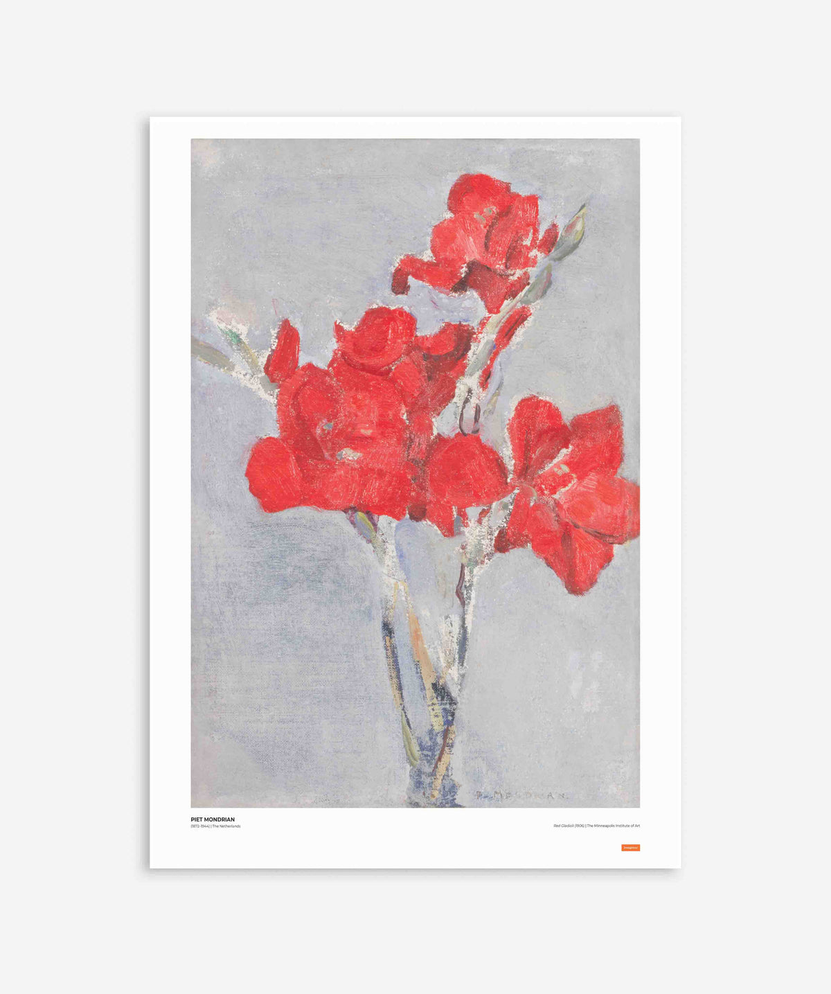 Piet Mondrian - Red Gladioli Poster
