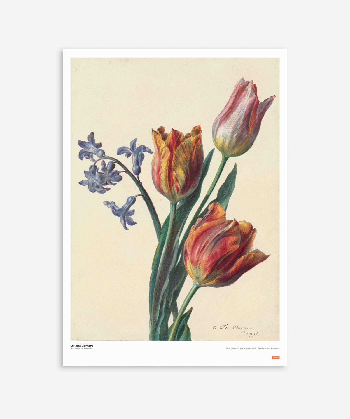 Charles de Haspe - Three Tulips and a Sprig of Hyacinth Poster