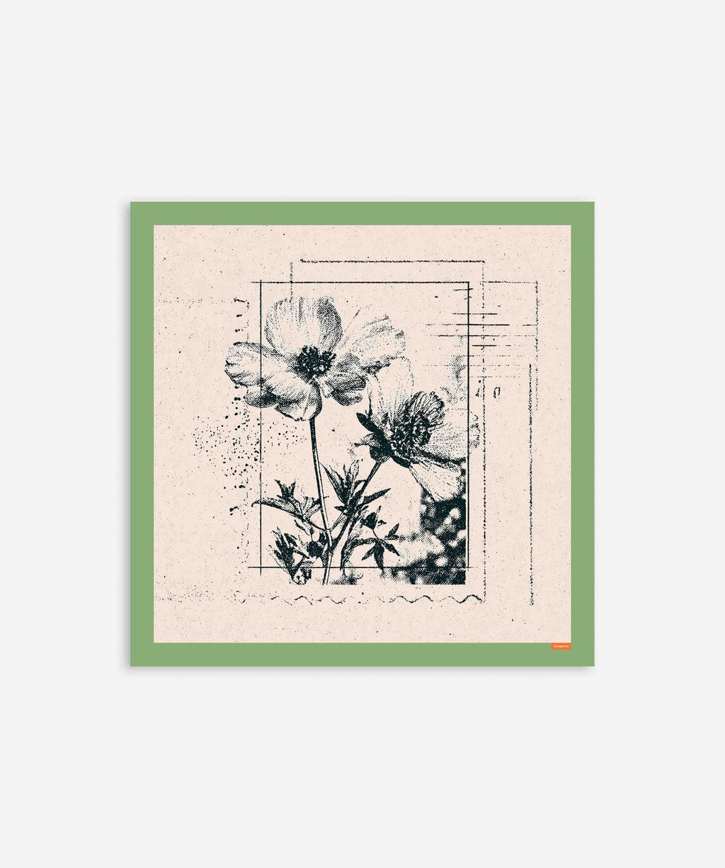 Vintage Black Flower Botanical Etching Poster