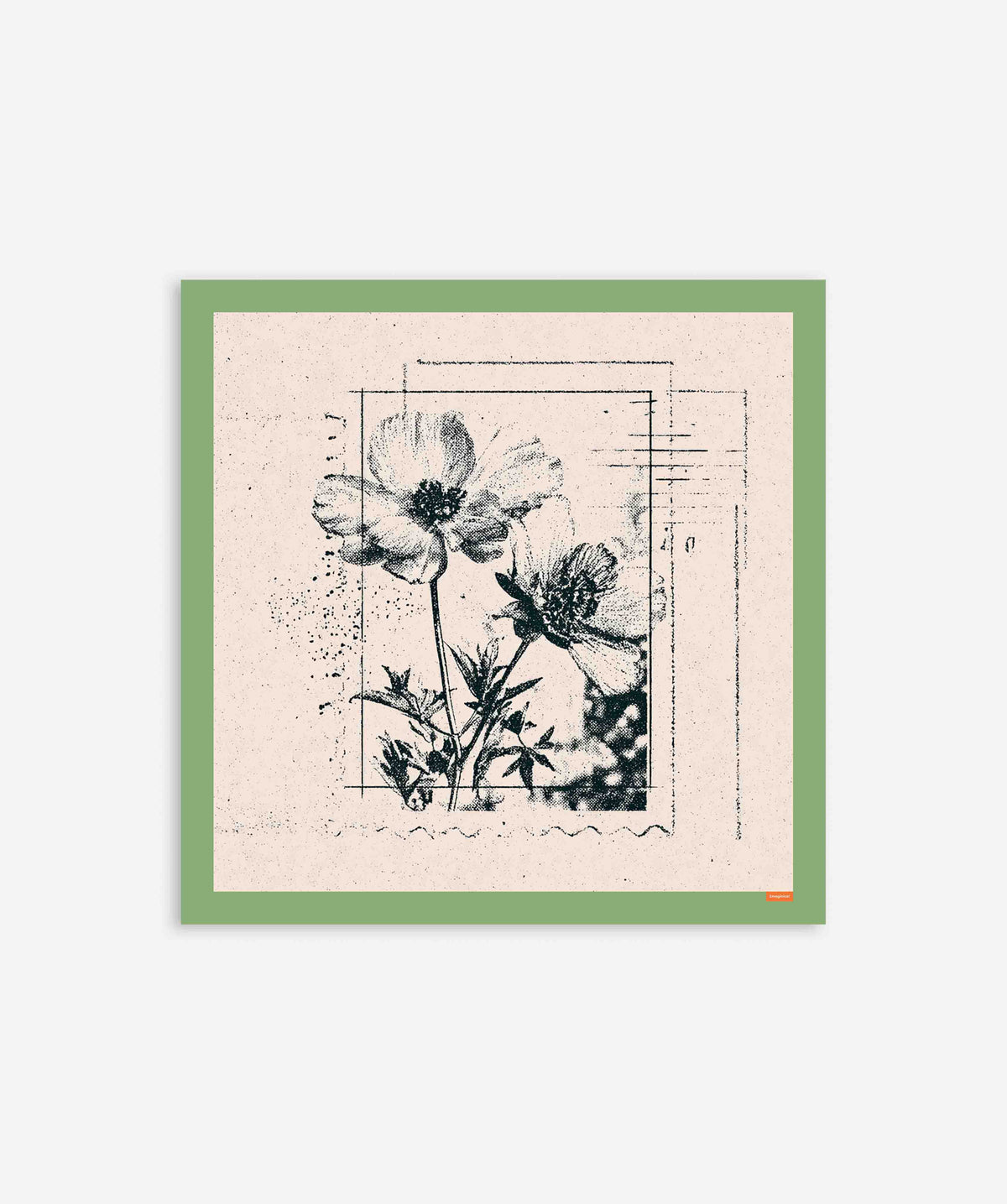 Vintage Black Flower Botanical Etching Poster