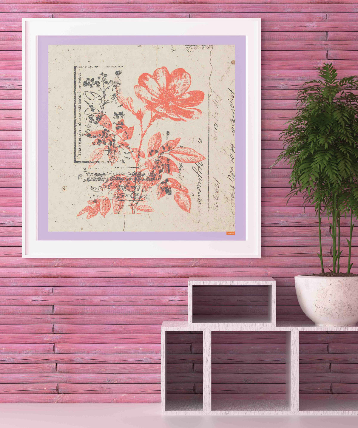 Vintage Red Flower Botanical Etching Poster