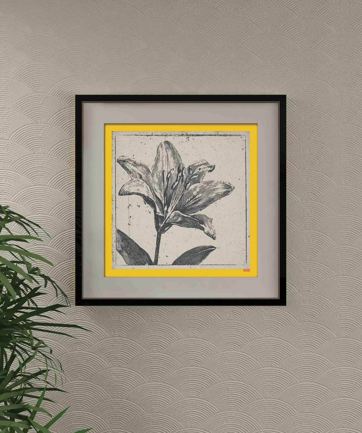 Vintage Black Lily Botanical Etching Poster