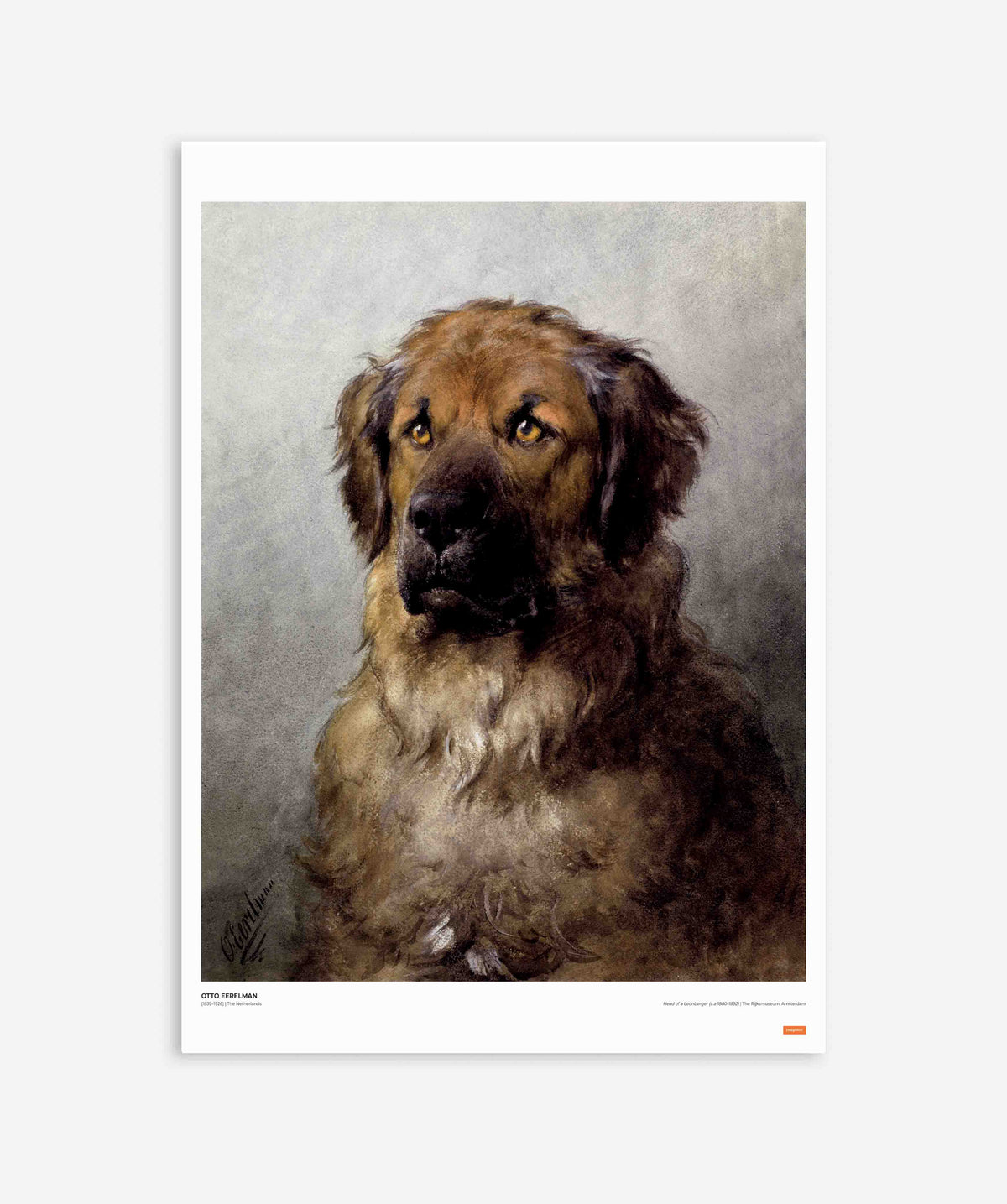 Otto Eerelman - Head of a Leonberger Poster