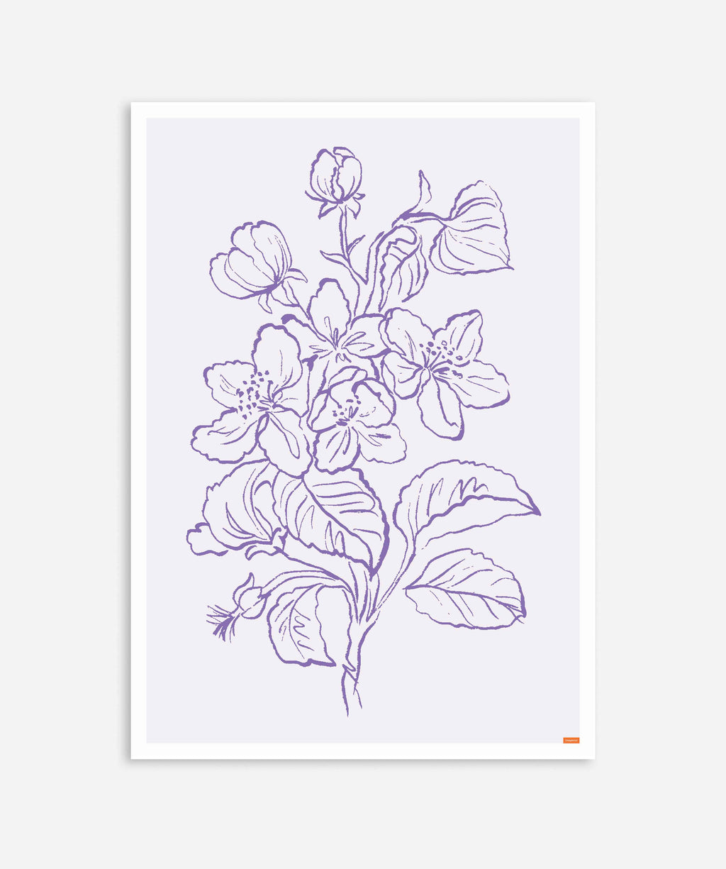 Minimalist Lavender Violet Flower Plant Poster