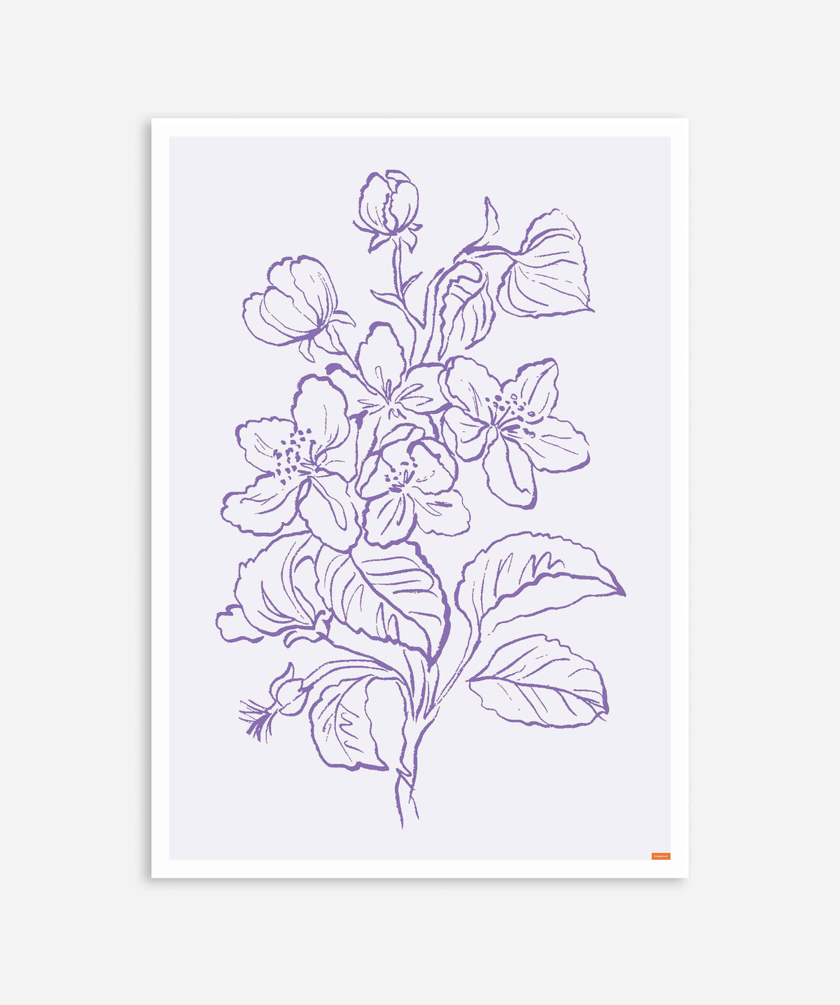 Minimalist Lavender Violet Flower Plant Poster